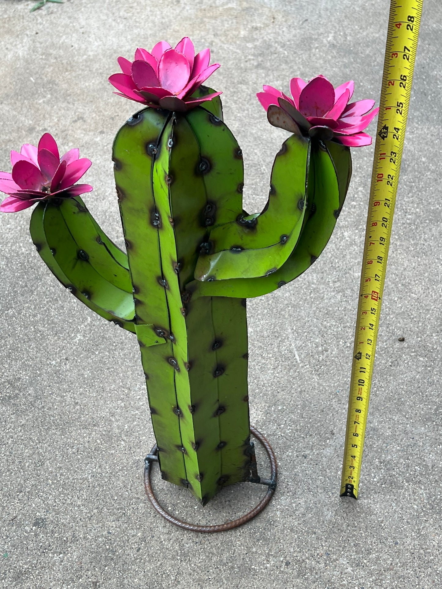 Cactus