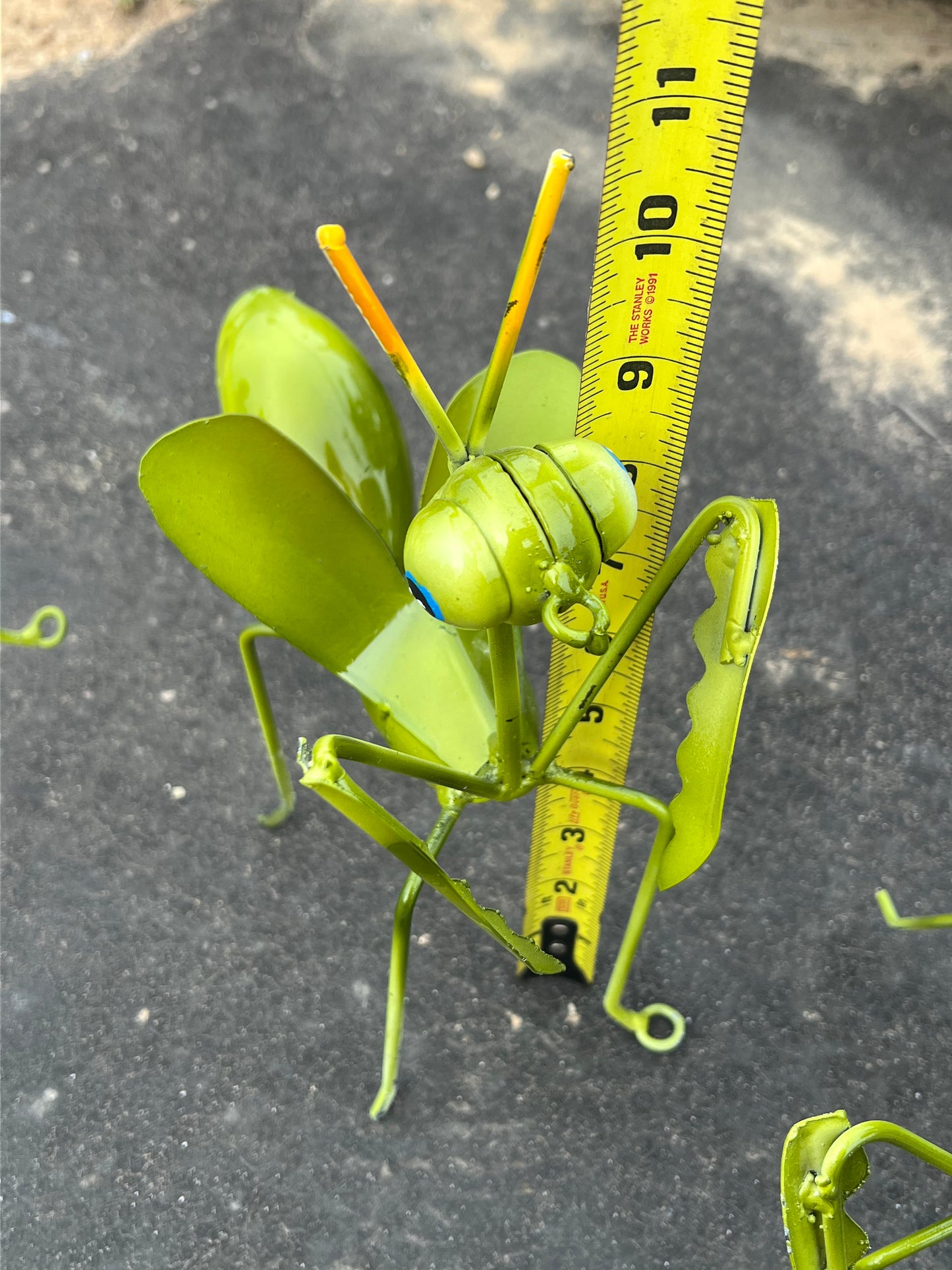 Praying Mantis