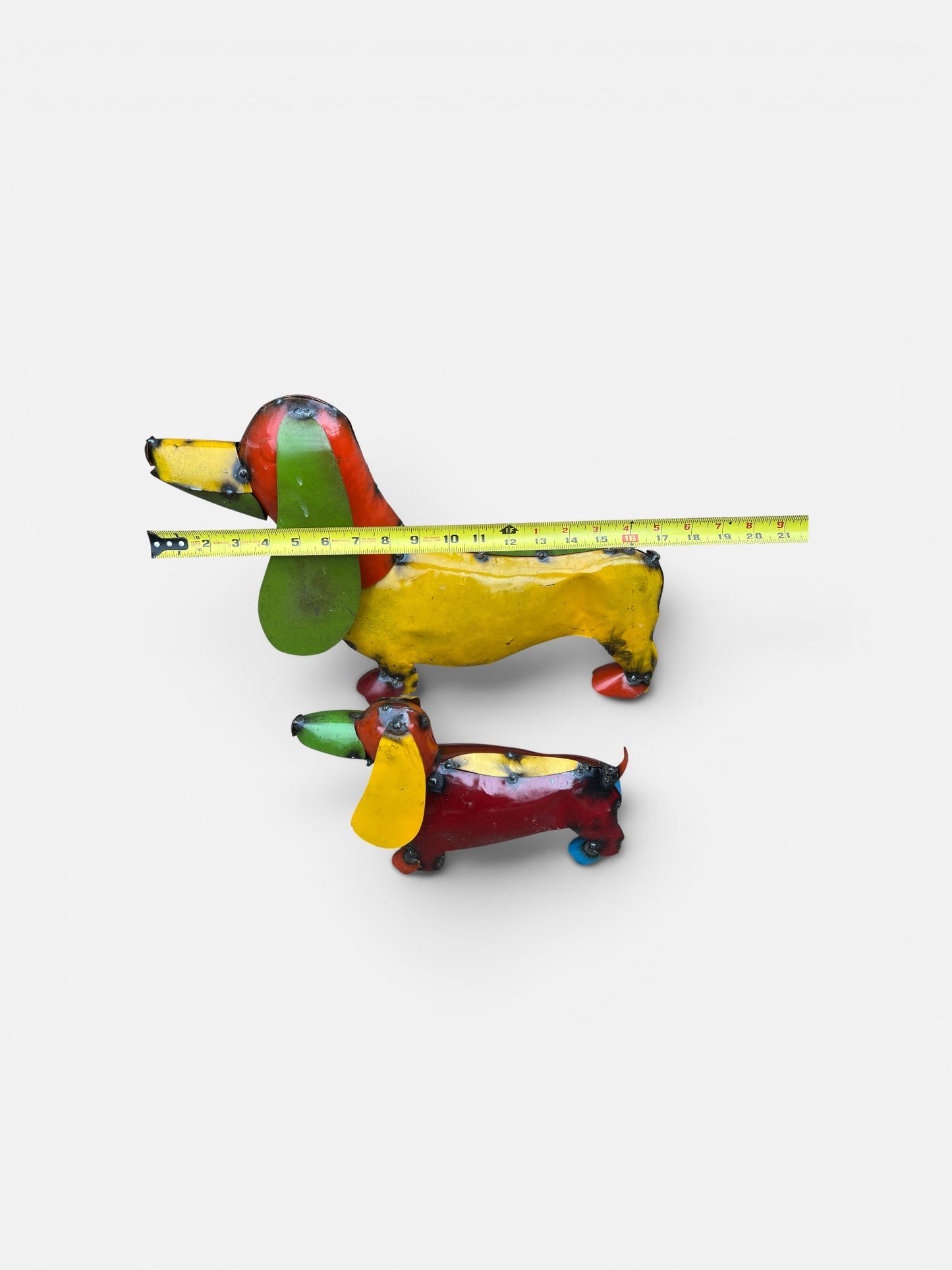 Colorful Dachshund Dog