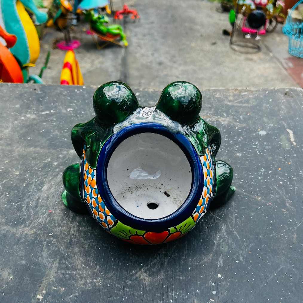 Frog Flower Pots