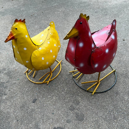 Polka Dot Chicks