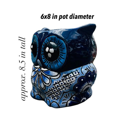 Owl flower pots
