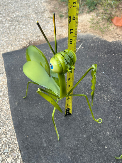 Praying Mantis