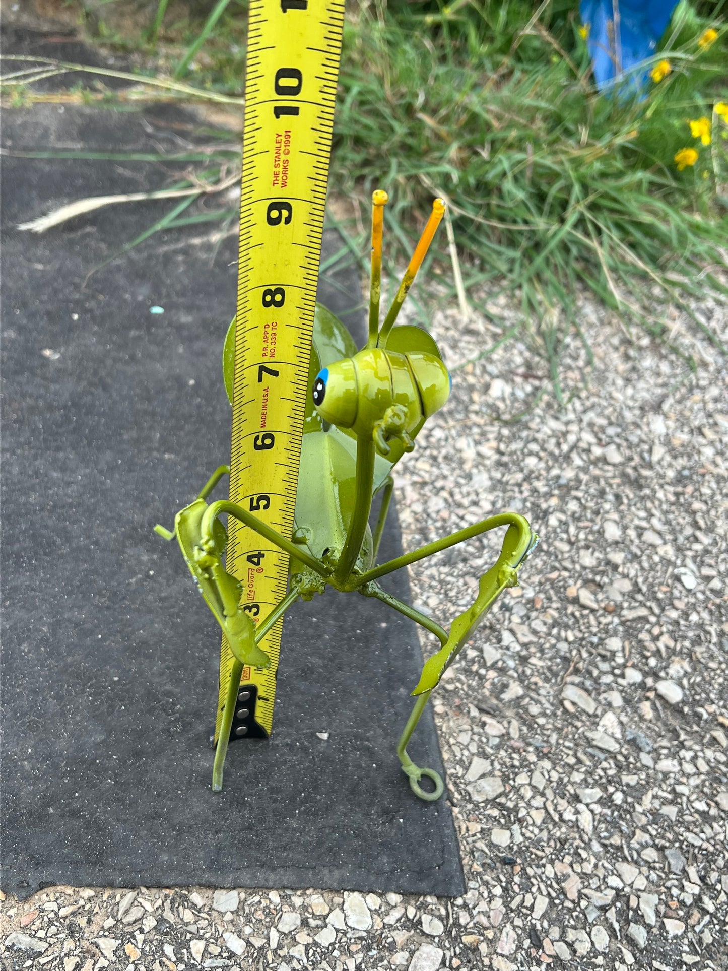 Praying Mantis