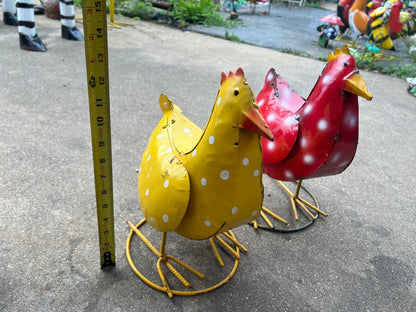 Polka Dot Chicks