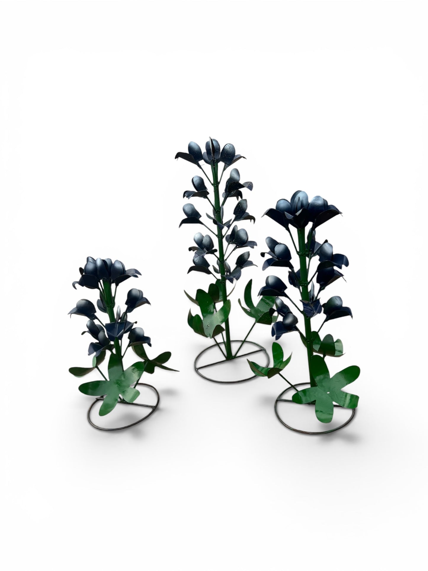 Blue Bonnets